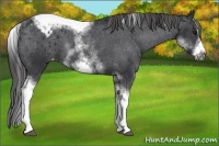 Horse Color:White Spotted Black Splash Tobiano Frame Blanket 