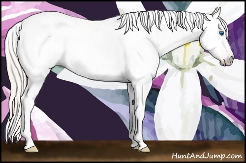 Horse Color:Gray Silver Amber Cream Champagne Roan Dun Splash Tobiano Frame Appaloosa Rabicano 