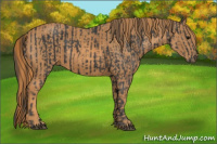 Horse Color:Black Brindle