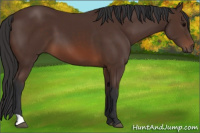 Horse Color:Brown 