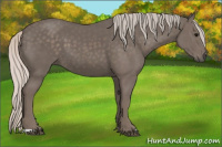 Horse Color:Silver Black 