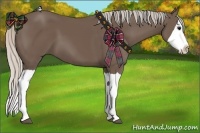 Horse Color:Silver Black Splash 