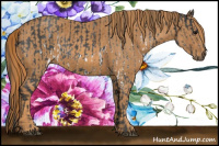 Horse Color:White Spotted Blue Roan Rabicano  Brindle