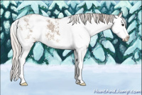 Horse Color:Silver Grullo Ice Sabino Splash 