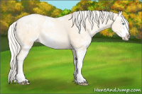 Horse Color:Silver Buckskin Ice Pearl Dun Sabino