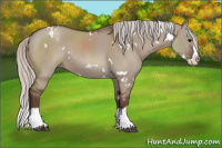 Horse Color:White Spotted Silver Grullo Splash 