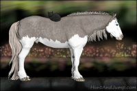 Horse Color:Silver Blue Roan Splash 