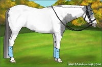 Horse Color:Black Tobiano Frame Varnish 