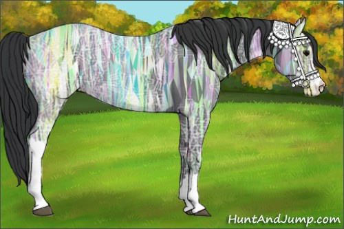 Horse Color:Black Ice 