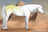 Horse Color:ERROR: UNKNOWN ANOMALY Brindle