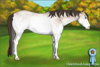 Horse Color:White Spotted Classic Champagne 