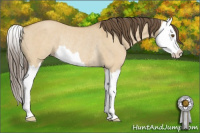 Horse Color:Sable Cream Champagne Dun Splash Rabicano 