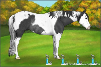 Horse Color:Brown Splash Tobiano Rabicano