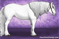 Horse Color:Gray Black 
