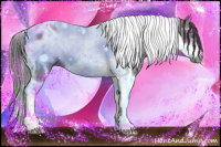 Horse Color:Grullo Tobiano Frame 