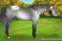Horse Color:Gray Black Blanket 