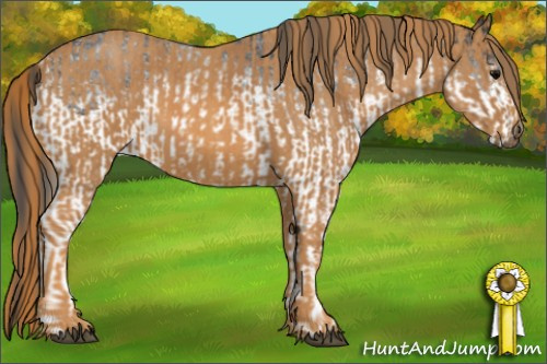 Horse Color: White Spotted Black Rabicano  Brindle