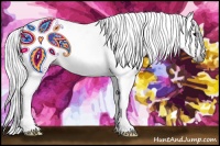 Horse Color:Gray Bay 
