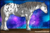 Horse Color:Blue Roan Splash Blanket 