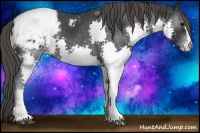 Horse Color:Black Splash Snowcap 