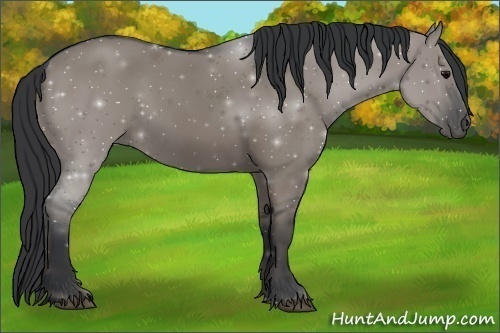 Horse Color: Grullo 