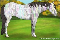 Horse Color:Smoky Blue Ice Roan 