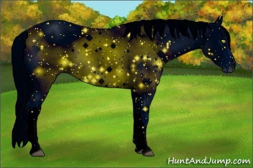 Horse Color: ERROR: UNKNOWN ANOMALY