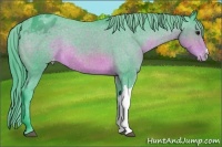 Horse Color:Watercolor Brown Varnish Rabicano 