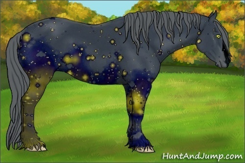Horse Color: ERROR: UNKNOWN ANOMALY