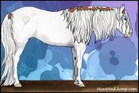 Horse Color:Palomino Pearl Dun Splash Blanket 