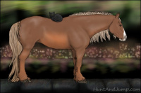 Horse Color:Chestnut Splash