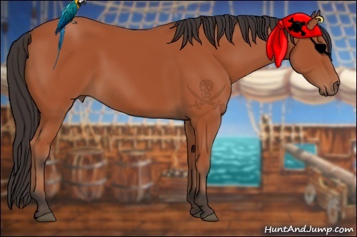 Horse Color: Bay 