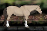 Horse Color:Classic Champagne Dun 