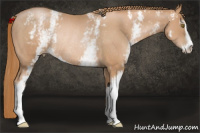 Horse Color:White Spotted Chestnut Pearl Sabino Rabicano