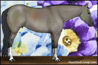 Horse Color:Grullo 