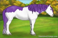 Horse Color:Watercolor Smoky Black Splash 