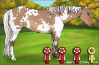 Horse Color:White Spotted Silver Brown Dun
