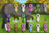 Horse Color:Grullo 