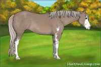 Horse Color:Silver Grullo Sabino 