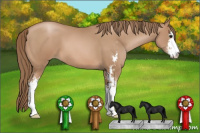 Horse Color:Black Pearl Sabino