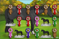 Horse Color:Black Sabino 