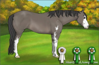 Horse Color:Black Sabino 