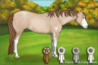 Horse Color:Brown Pearl Dun Sabino