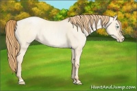 Horse Color:Gold Champagne Pearl Dun Sabino 