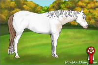 Horse Color:Grullo Ice Pearl Sabino Splash Tobiano Frame 
