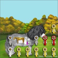 Horse Color:Brown Chinchilla Sabino  and Silver Brown Roan Sabino Splash 