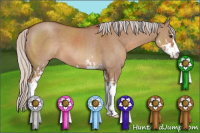 Horse Color:Silver Brown Dun Sabino 