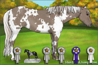 Horse Color:White Spotted Silver Grullo 