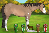 Horse Color:Bay Dun Sabino 