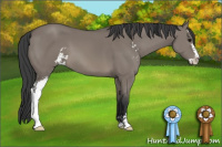Horse Color:Grullo Sabino
